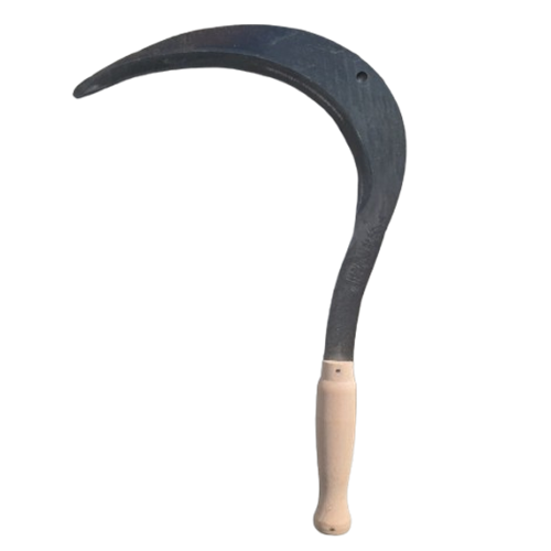 img-placeholder